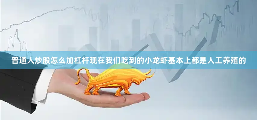 普通人炒股怎么加杠杆现在我们吃到的小龙虾基本上都是人工养殖的