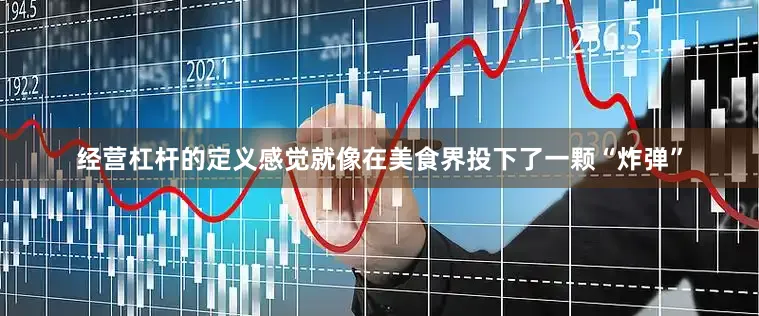 经营杠杆的定义感觉就像在美食界投下了一颗“炸弹”