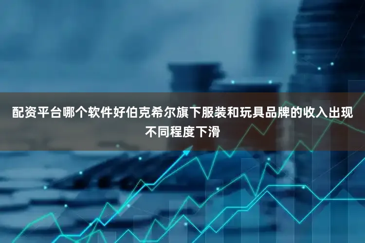 配资平台哪个软件好伯克希尔旗下服装和玩具品牌的收入出现不同程度下滑