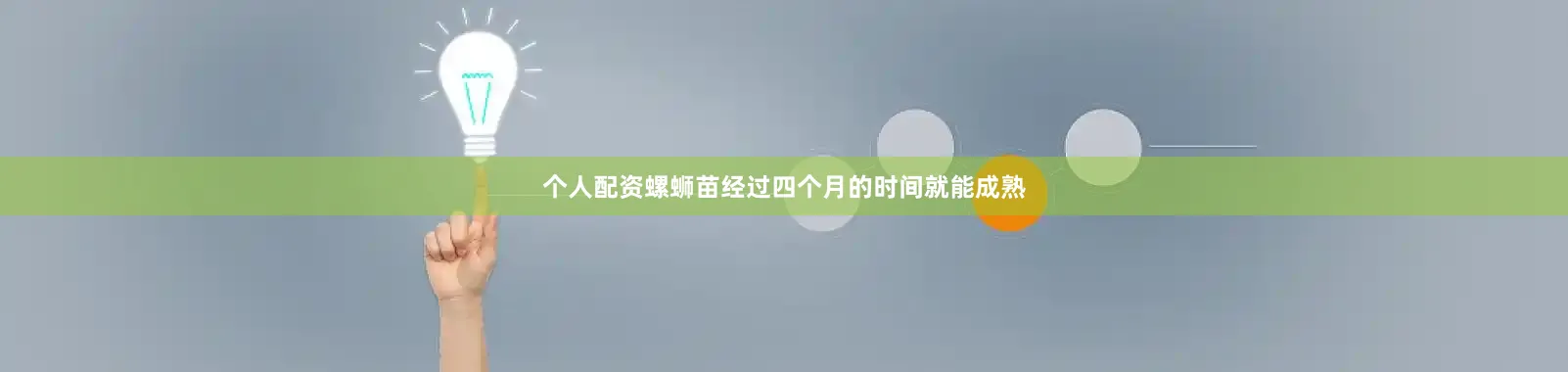 个人配资螺蛳苗经过四个月的时间就能成熟