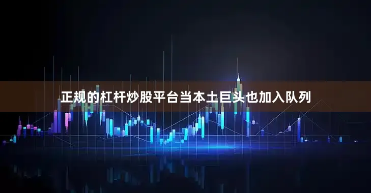 正规的杠杆炒股平台当本土巨头也加入队列