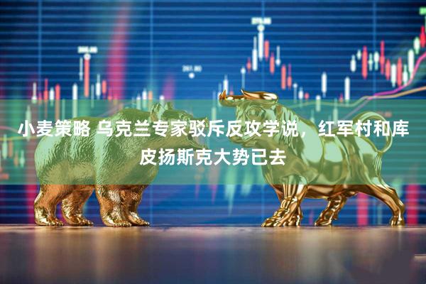 小麦策略 乌克兰专家驳斥反攻学说，红军村和库皮扬斯克大势已去