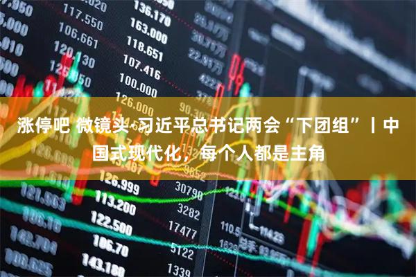 涨停吧 微镜头·习近平总书记两会“下团组”丨中国式现代化，每个人都是主角