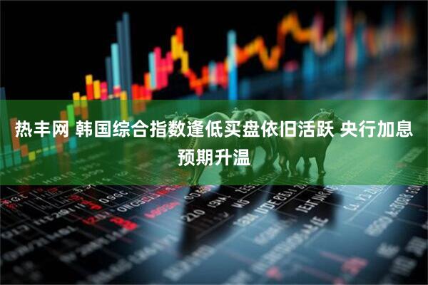 热丰网 韩国综合指数逢低买盘依旧活跃 央行加息预期升温
