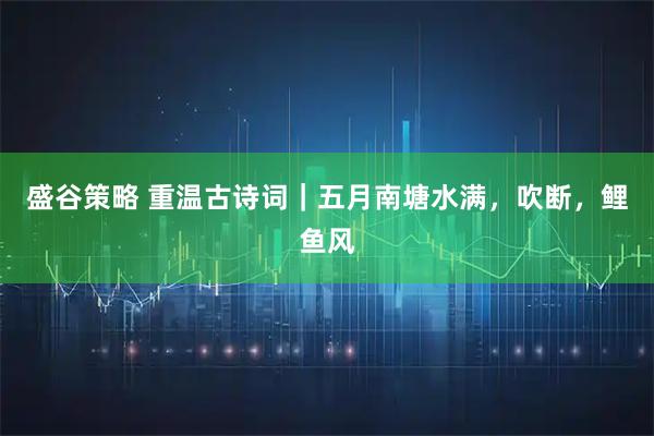盛谷策略 重温古诗词｜五月南塘水满，吹断，鲤鱼风